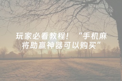 玩家必看教程！“手机麻将助赢神器可以购买”（详细透视教程）-哔哩哔哩