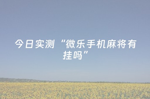 今日实测“微乐手机麻将有挂吗”（详细辅助教程）-哔哩哔哩