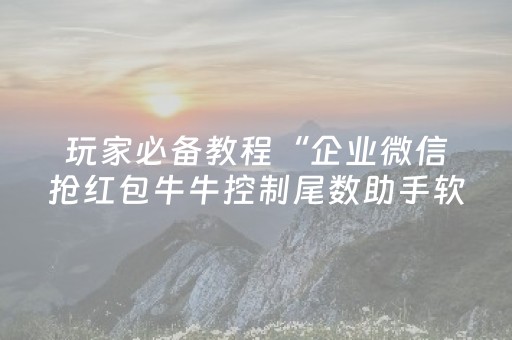 玩家必备教程“企业微信抢红包牛牛控制尾数助手软件”（详细透视教程）-哔哩哔哩