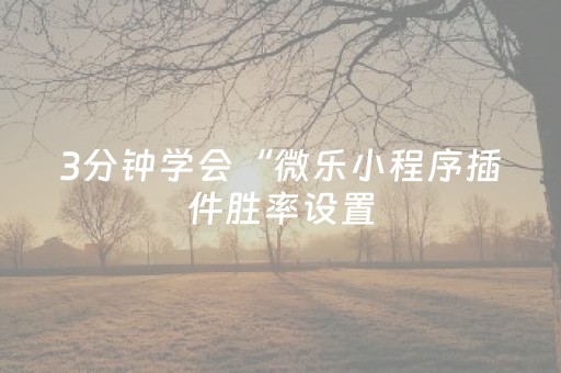 3分钟学会“微乐小程序插件胜率设置（助赢神器通用版）