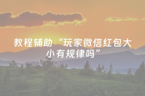 教程辅助“玩家微信红包大小有规律吗”（详细透视教程）-哔哩哔哩