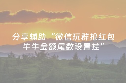 分享辅助“微信玩群抢红包牛牛金额尾数设置挂”（详细透视教程）-哔哩哔哩