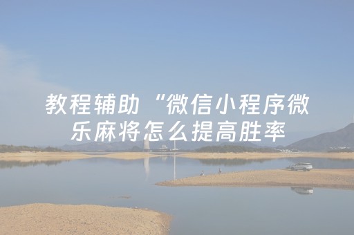 教程辅助“微信小程序微乐麻将怎么提高胜率（专用辅牌神器免安装）