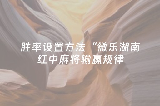 胜率设置方法“微乐湖南红中麻将输赢规律（助赢神器通用版）