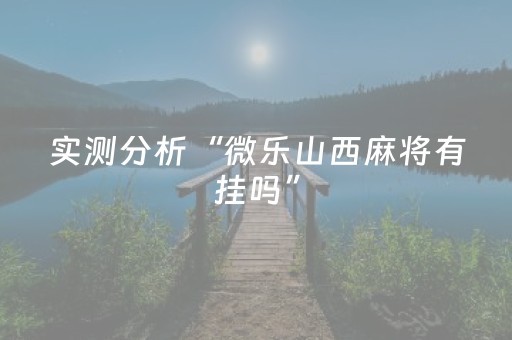 实测分析“微乐山西麻将有挂吗”（详细辅助教程）-哔哩哔哩