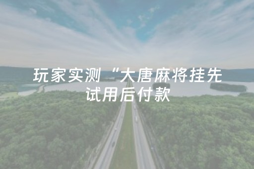 玩家实测“大唐麻将挂先试用后付款（专用辅牌神器免安装）