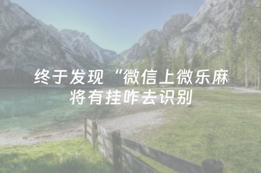 终于发现“微信上微乐麻将有挂咋去识别（专用辅牌神器免安装）