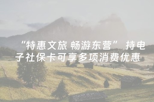“特惠文旅 畅游东营” 持电子社保卡可享多项消费优惠