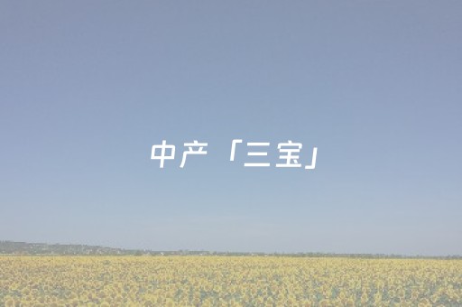 中产「三宝」，集体崩盘