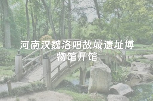 河南汉魏洛阳故城遗址博物馆开馆