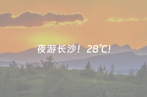 上海温室花园夜游启幕，游客打卡“温室奇妙夜”，光影和声效把氛围感拉满
