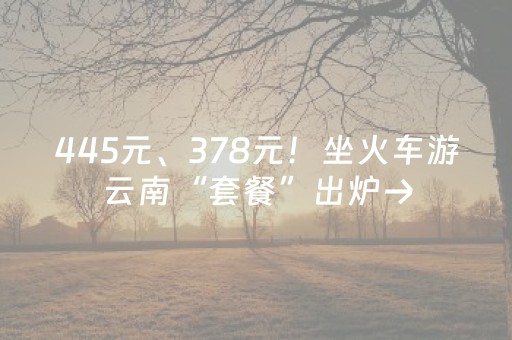 445元、378元！坐火车游云南“套餐”出炉→