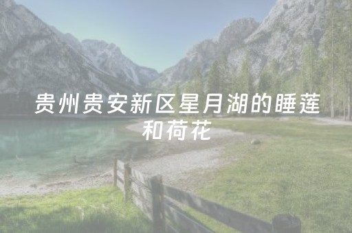 安宁石林连续4年入选全国百佳县