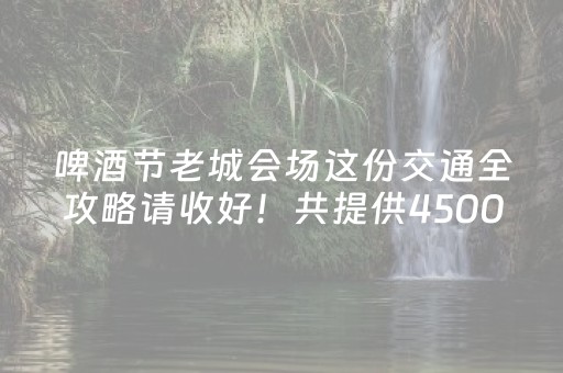 啤酒节老城会场这份交通全攻略请收好！共提供4500余个停车泊位