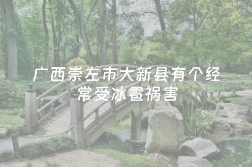 3分钟学会“微乐陕西麻将赢牌技巧”（详细透视教程）-哔哩哔哩