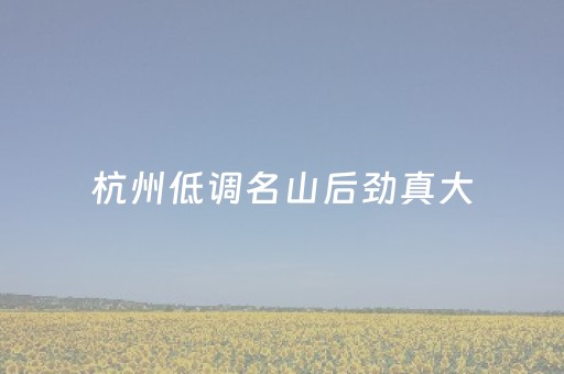 我来教大家“兴动互娱辅助器”（详细透视教程）-哔哩哔哩