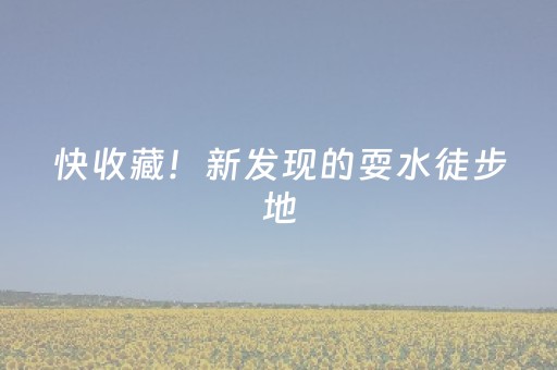 必看教程！“微信麻将小程序赢的技巧”（详细透视教程）-哔哩哔哩