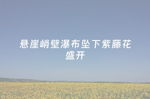 必看教程“微信小程序雀神挂件”（详细透视教程）-哔哩哔哩