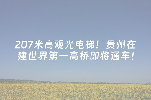 今日实测“闲逸跑得快辅助软件”（详细透视教程）-哔哩哔哩