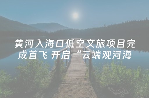 黄河入海口低空文旅项目完成首飞 开启“云端观河海”新体验