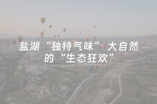 玩家必看攻略“玩家微信抢红包怎么抢到手气最佳”（详细透视教程）-哔哩哔哩