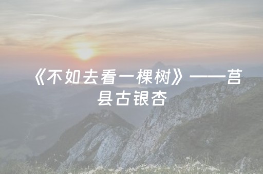 《不如去看一棵树》——莒县古银杏