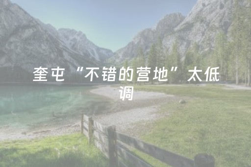 必看教程“微乐宁夏麻将神器下载安装”（详细透视教程）-哔哩哔哩