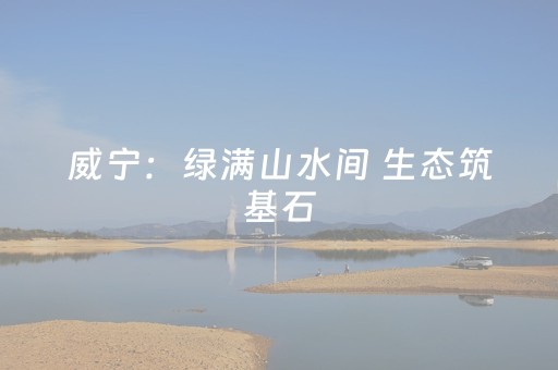 实测分析“微信小程序麻将插件免费”（详细辅助教程）-哔哩哔哩