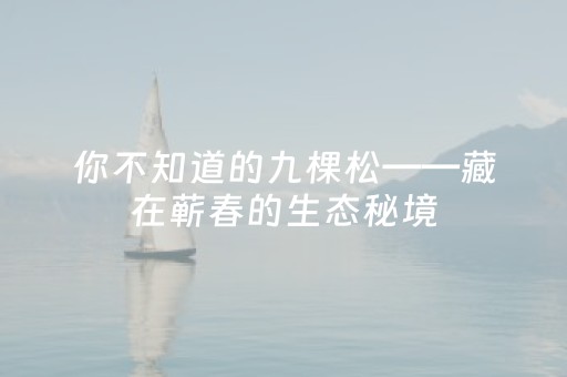 胜率设置方法“红包排雷控制尾数软件”（详细透视教程）-哔哩哔哩