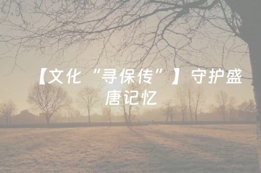 今日实测“微乐甘肃麻将怎么可以胡牌几率高”（详细透视教程）-哔哩哔哩