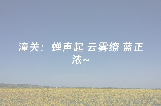 终于发现了“微乐麻将自建房有挂吗”（详细透视教程）-哔哩哔哩
