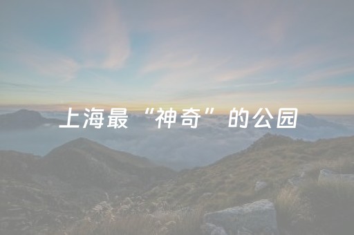 今日实测“扑克辅助器是骗局吗”（详细透视教程）-哔哩哔哩
