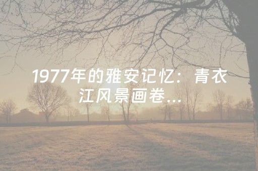 实测结果“微乐江西麻将软挂神器”（详细透视教程）-哔哩哔哩