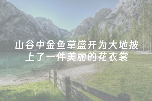 终于发现了“飞云购红包埋雷群尾数挂多少钱”（详细透视教程）-哔哩哔哩