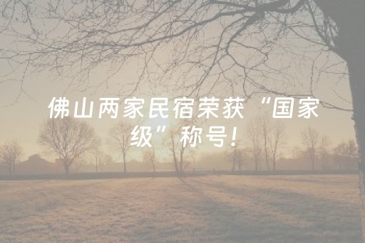 实测辅助“扑克辅助器是骗局吗”（详细透视教程）-哔哩哔哩