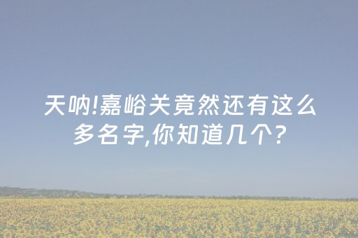 玩家必看攻略“手机扑克外挂真的假的”（详细透视教程）-哔哩哔哩
