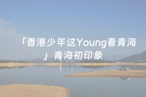 玩家必看教程！“微乐河南麻将真的有挂吗”（详细透视教程）-哔哩哔哩