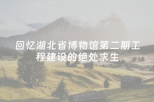 教程辅助“微乐内蒙麻将胜率到哪调”（详细透视教程）-哔哩哔哩