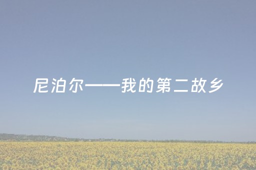 终于发现了“中至麻将有挂的吗”（详细透视教程）-哔哩哔哩
