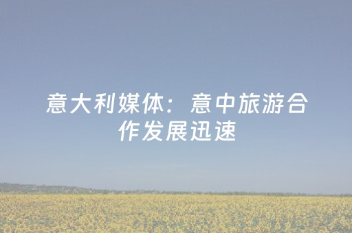 意大利媒体：意中旅游合作发展迅速