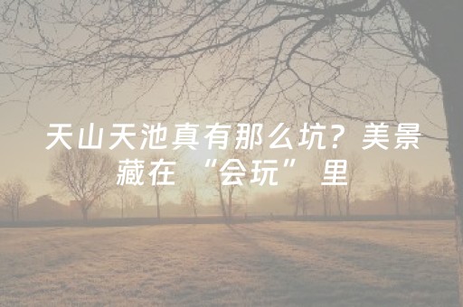 玩家必看攻略“手机微乐麻将软件只赢不输”（详细透视教程）-哔哩哔哩
