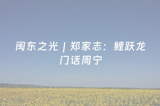 实测分析“今日花牌辅助器免费”（详细开挂教程）-哔哩哔哩