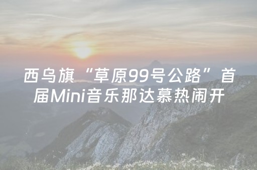 实测结果“麻将机程序检测方法大全”（详细透视教程）-哔哩哔哩