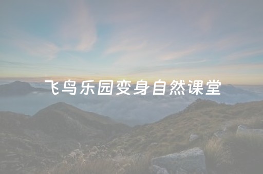 今日实测“胡乐麻将有挂吗”（详细辅助教程）-哔哩哔哩