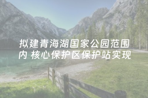 必看教程！“微乐一直输是什么原因”（详细辅助教程）-哔哩哔哩