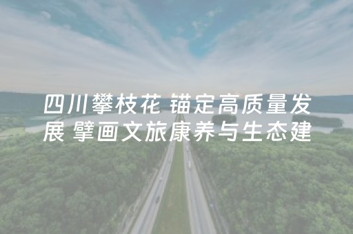 实测教程“微乐海南麻将胡牌器”（详细透视教程）-哔哩哔哩