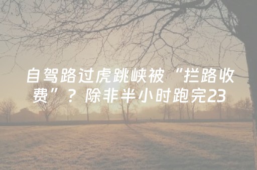 实测教程“中至赣牌圈辅助器”（详细透视教程）-哔哩哔哩