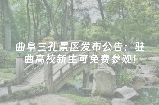 今日实测“手机广东麻将专用器”（详细透视教程）-哔哩哔哩