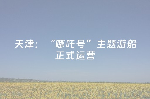 必看教程！“微乐捉鸡麻将铺牌器购买”（详细辅助教程）-哔哩哔哩