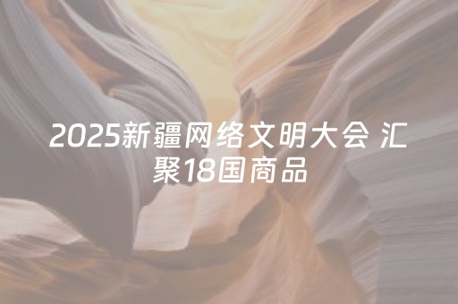 2025新疆网络文明大会 汇聚18国商品，新疆塔城边民互市红红火火